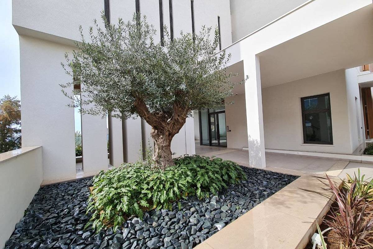 Квартира / Апартаменты in Лимассоле, Cyprus, 453 sq.m. - photo 470